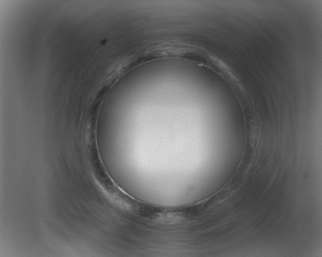 X0000081310451200701111007