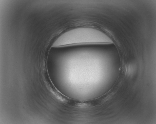 X0000081310453200701111007