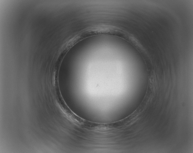 X0000081310454200701111007