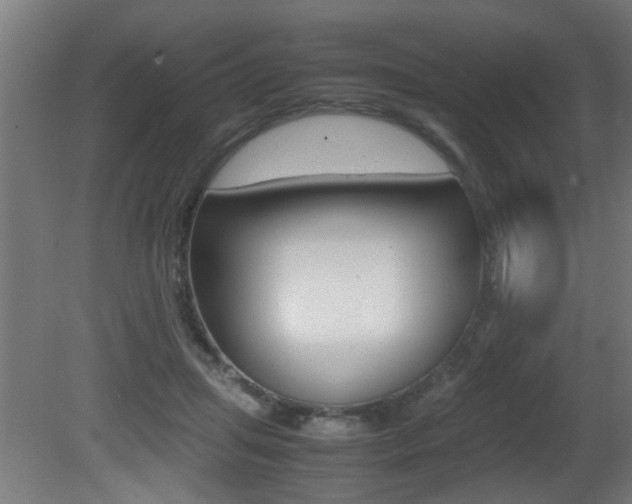 X0000081310455200701111007