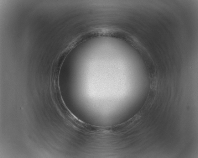 X0000081310456200701111007