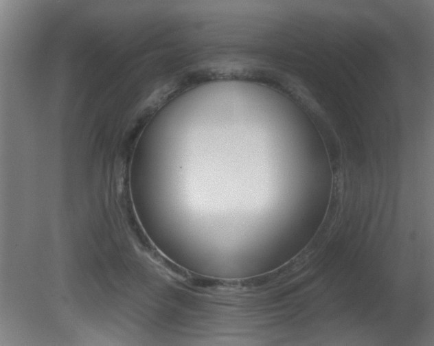 X0000081310458200701111007