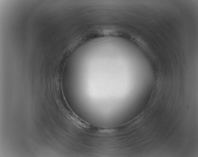 X0000081310461200701111007