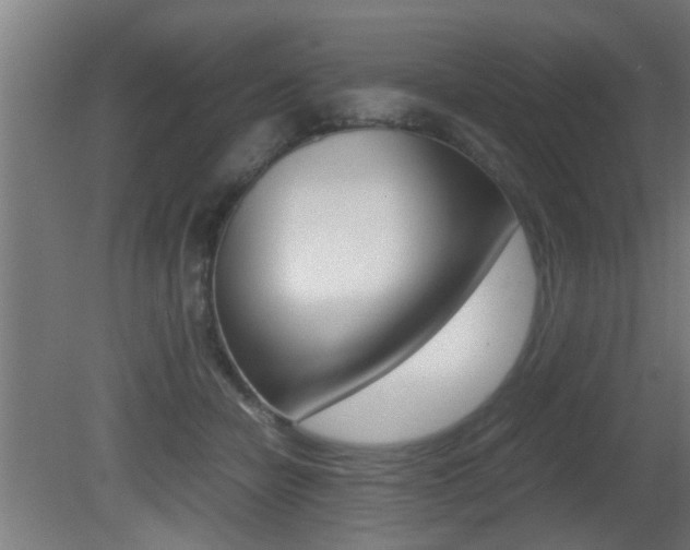 X0000081310462200701111007