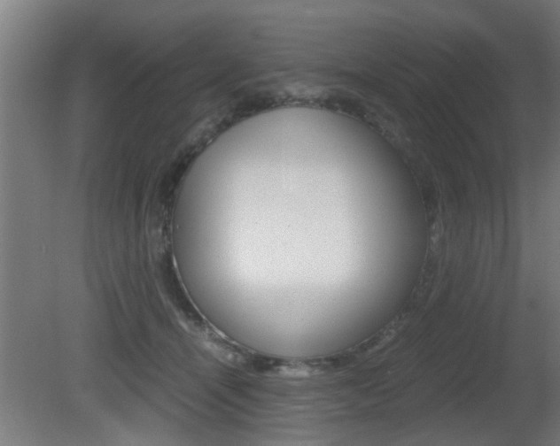X0000081310464200701111007