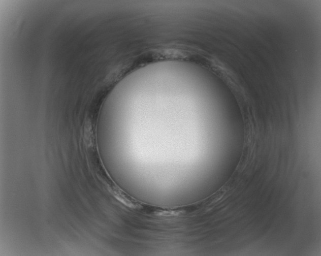 X0000081310465200701111007