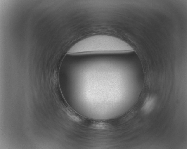 X0000081310467200701111007