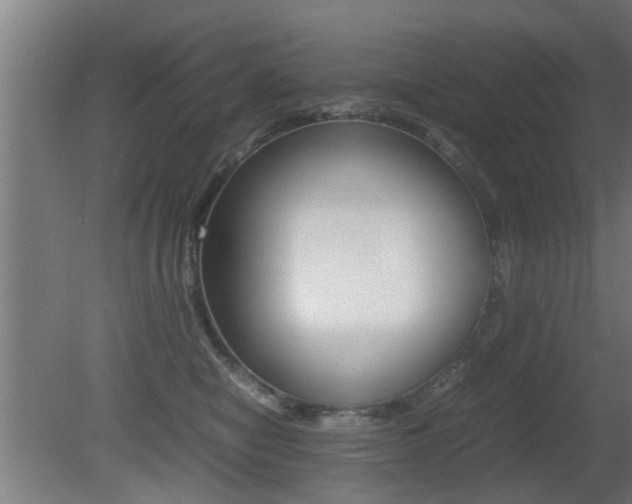 X0000081310470200701111007
