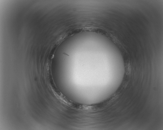 X0000081310472200701111007