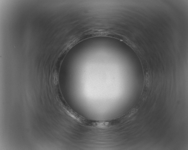X0000081310474200701111007