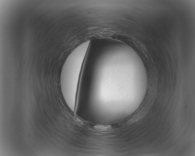 X0000081310480200701111007