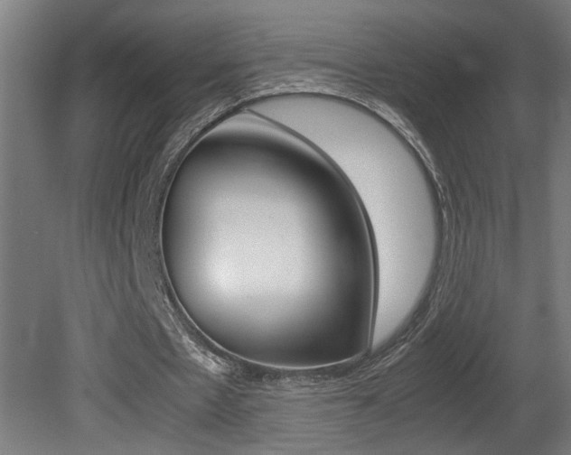 X0000081310481200701111006