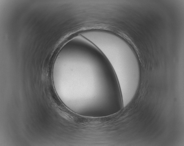 X0000081310483200701111006