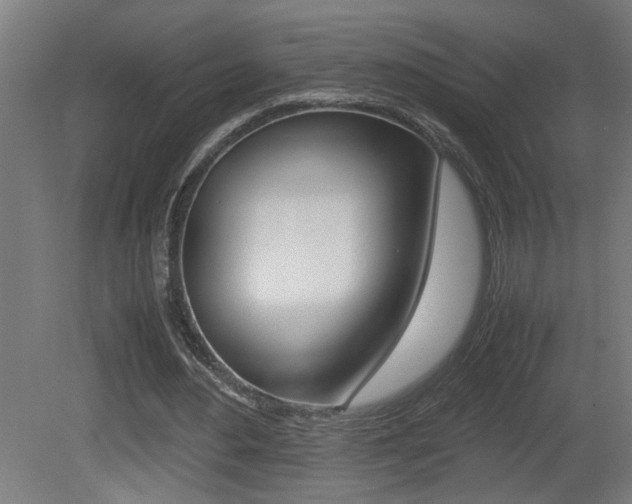 X0000081310484200701111006