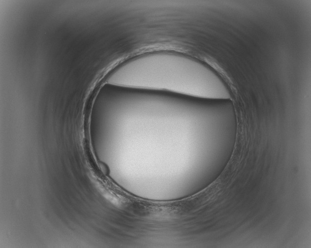 X0000081310486200701111006