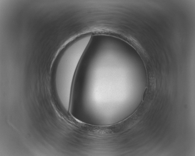X0000081310488200701111006