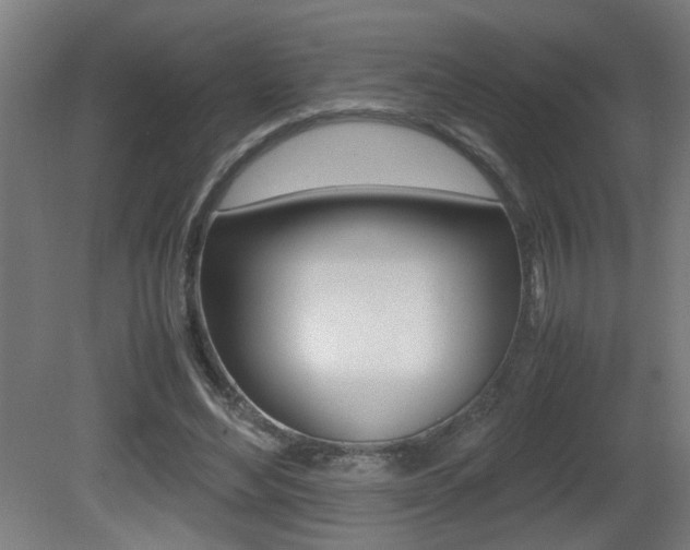 X0000081310492200701111006