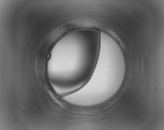 X0000081310493200701111006