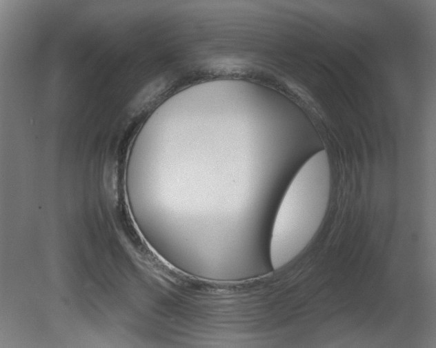 X0000081310494200701111006