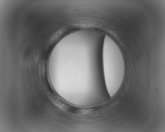 X0000081310495200701111006