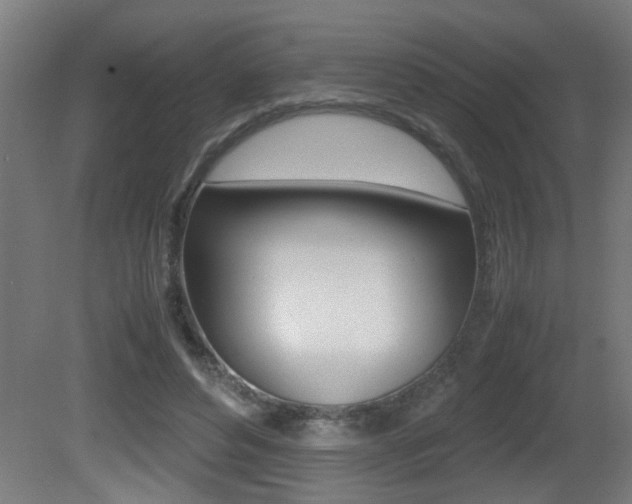 X0000081310496200701111006
