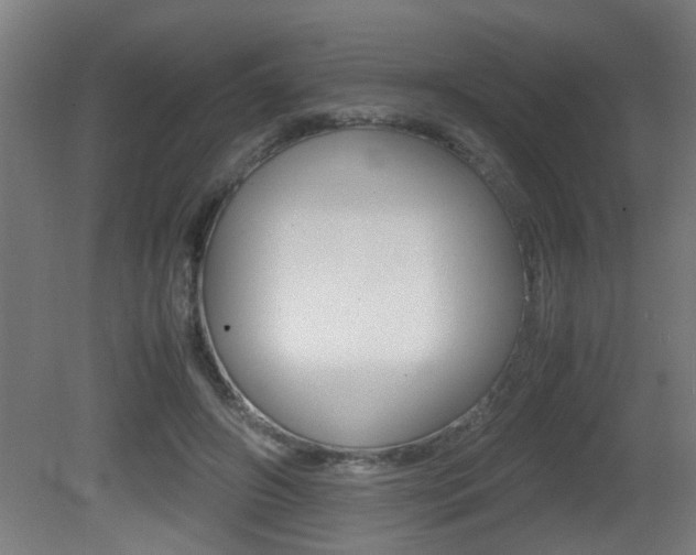 X0000081310498200701111006