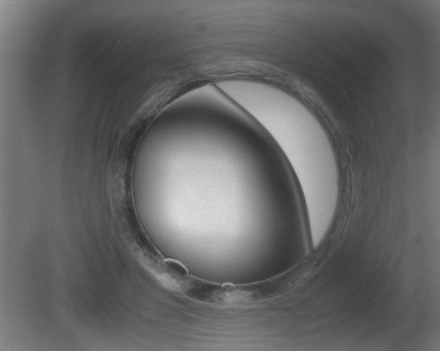 X0000081310501200701111006