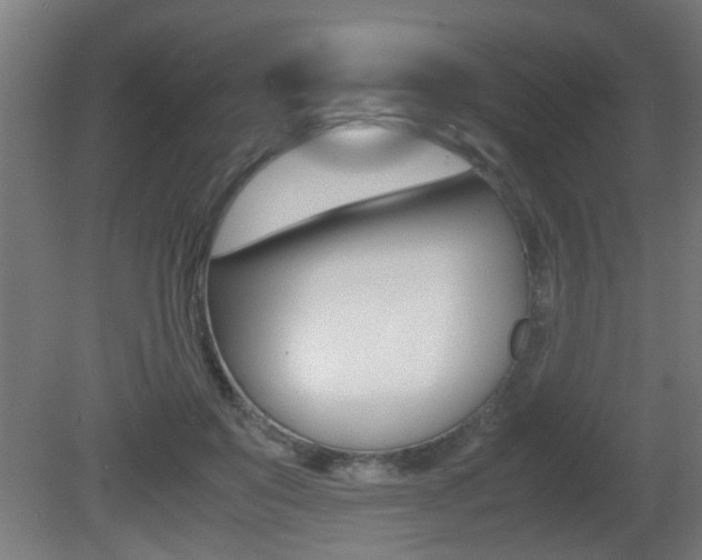 X0000081310503200701111006