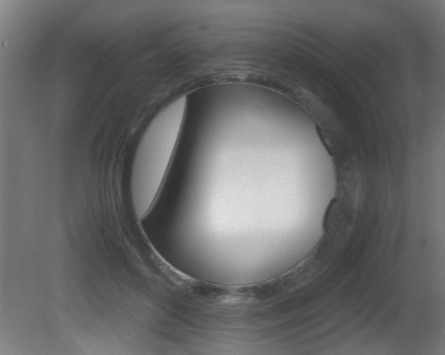 X0000081310504200701111006
