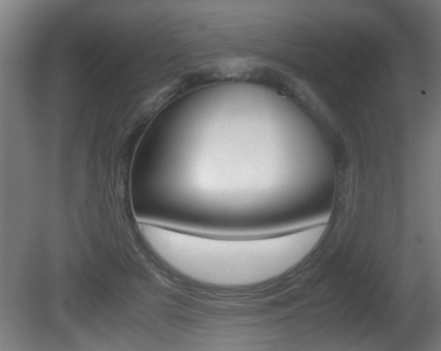 X0000081310505200701111006