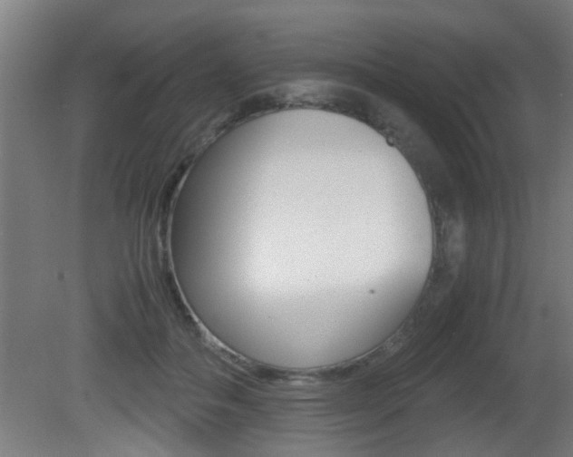 X0000081310506200701111006