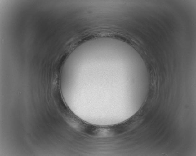 X0000081310507200701111006