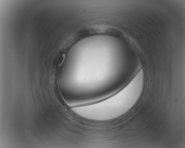 X0000081310509200701111006