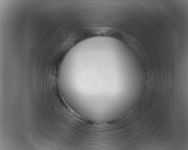 X0000081310510200701111006