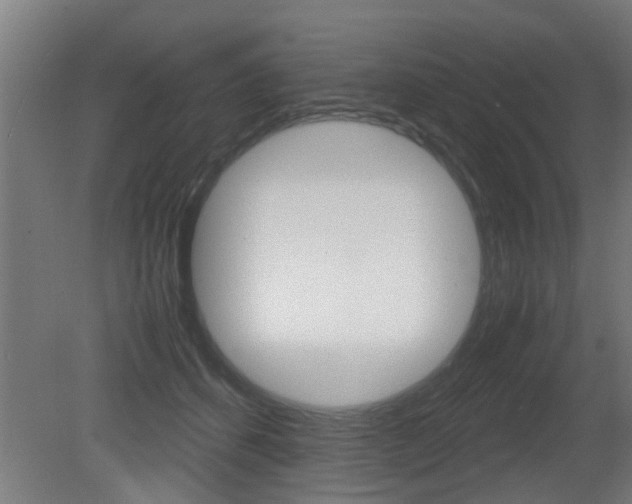X0000081310512200701111006