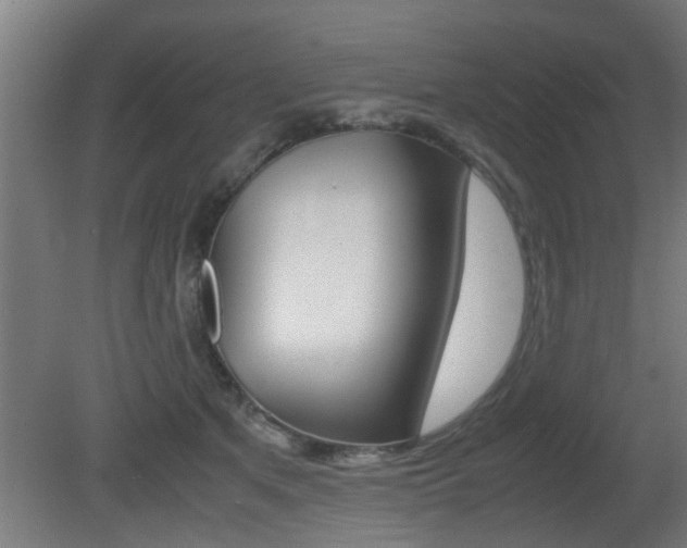 X0000081310513200701111006
