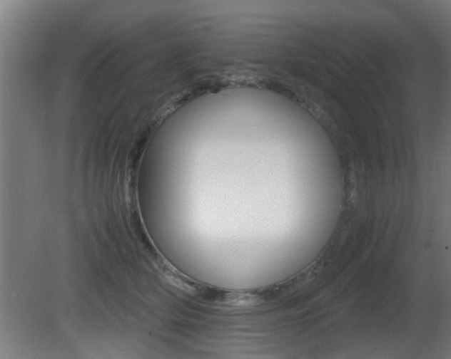 X0000081310514200701111006