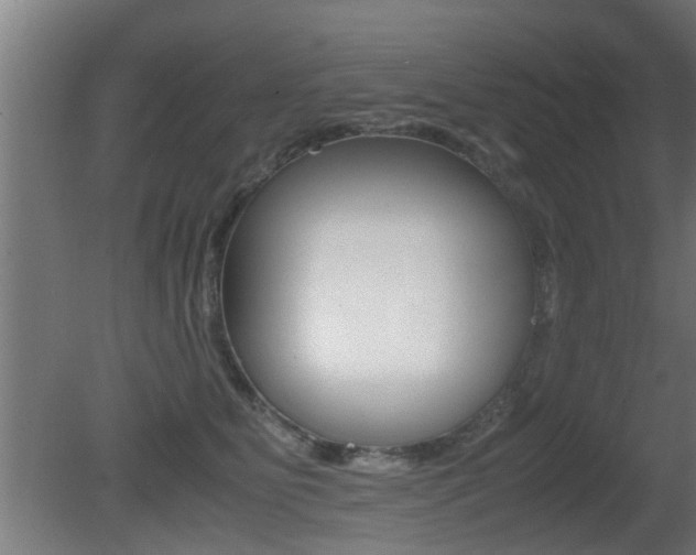 X0000081310515200701111006