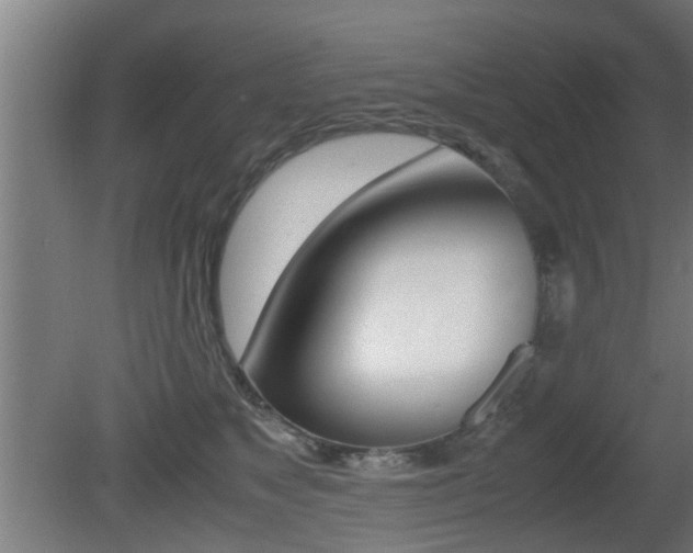 X0000081310517200701111006