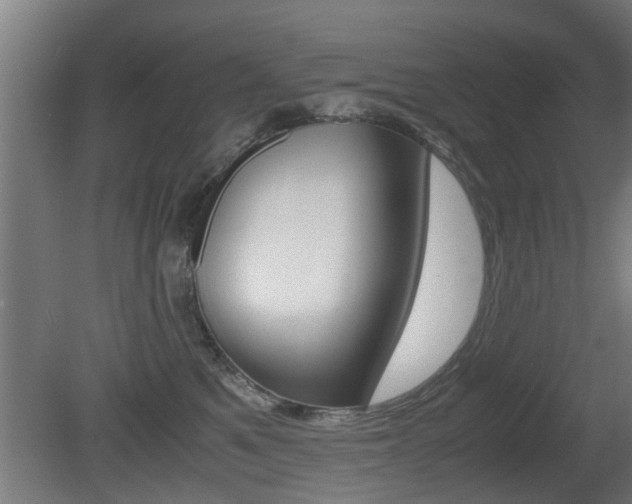 X0000081310521200701111006