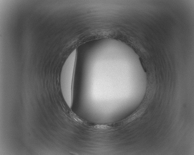 X0000081310528200701111005