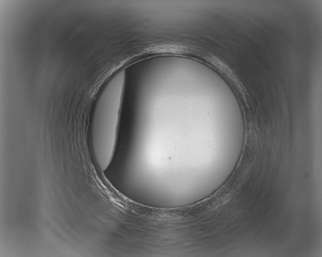 X0000081310529200701111005