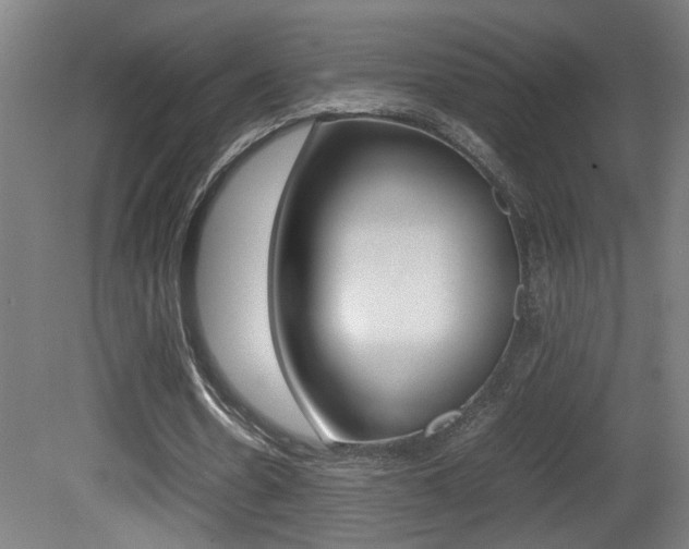 X0000081310530200701111005