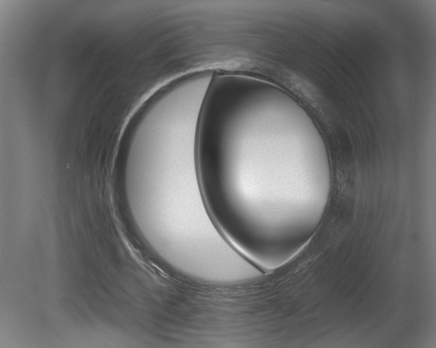 X0000081310532200701111005