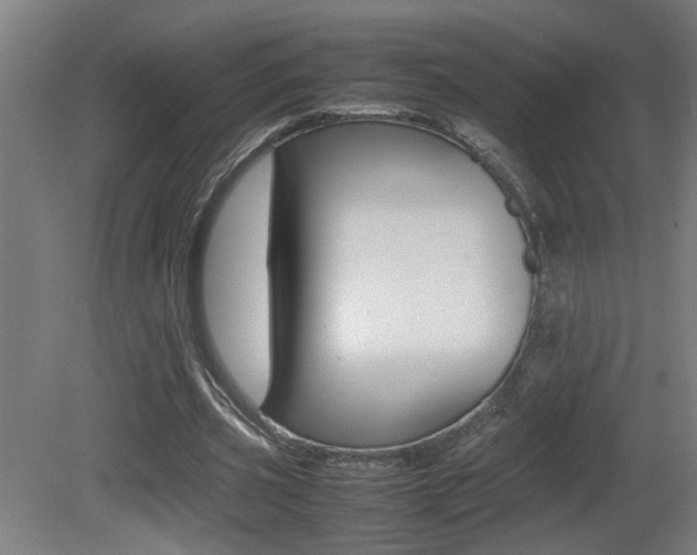 X0000081310533200701111005