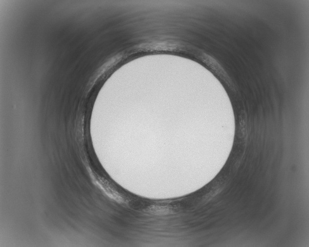 X0000081310534200701111005
