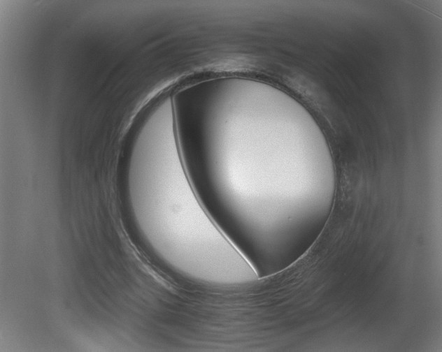 X0000081310535200701111005