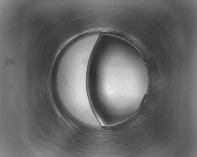 X0000081310536200701111005