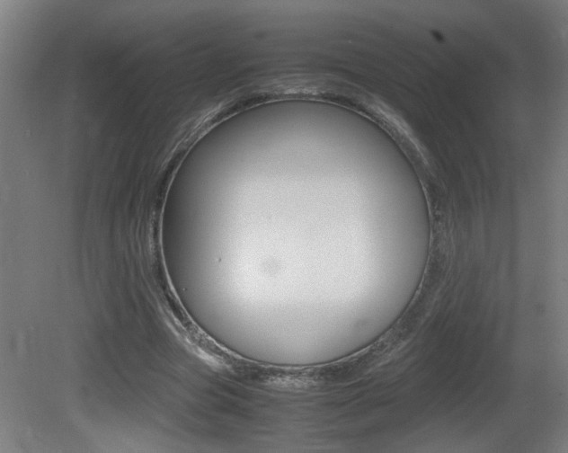 X0000081310537200701111005