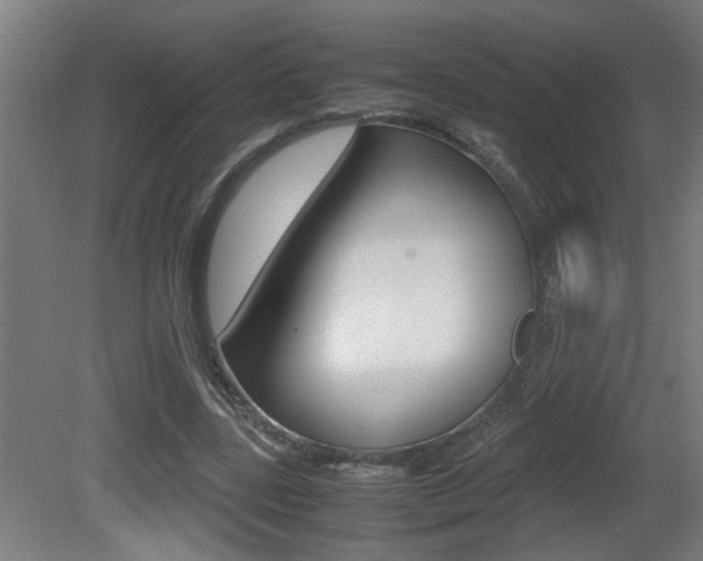 X0000081310539200701111005